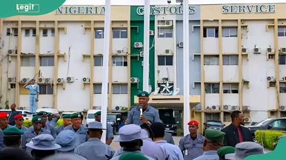 Nigeria Customs Service seals three port terminals, seizes 27 containers in major crackdown