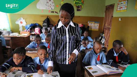Full list: Top 10 countries that pay teachers more than 1 million naira per month