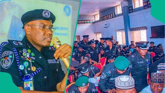 Kano: Rundunar ƴan sanda ta fara binciken wasu jami'anta da ake zargi da taimako ɓarayi