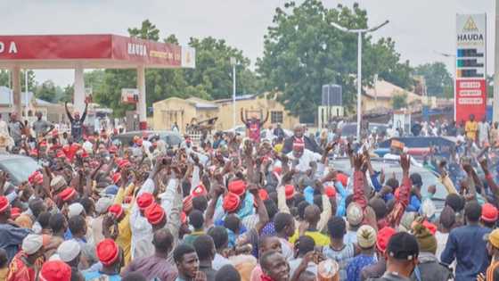 NNPP Ta Fallasa Salon Dabarar Cin Zabenta da inda Kwankwaso Zai Fuskanci Cikas
