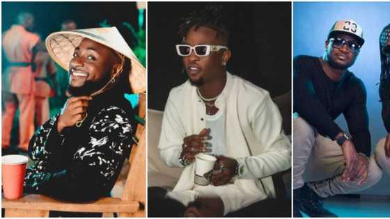 Na OBO we dey wait for: Nigerians say they won't miss Davido, P-Square and Laycon's concert this December