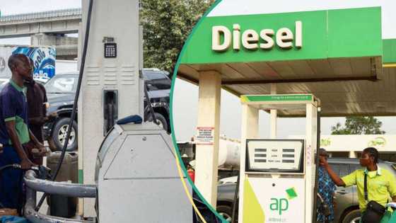 Fresh fuel price update: Diesel surges in Lagos, Warri, Port Harcourt despite stable petrol rates