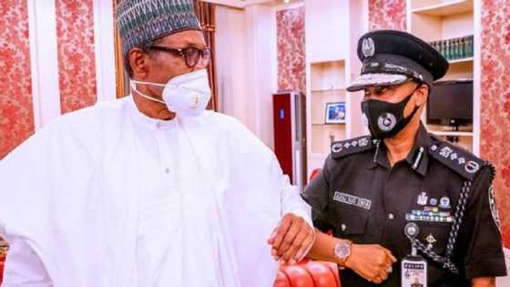 Buhari na da ikon tsawaita wa'adin babban sufetan 'yan sanda, kotu ta raba gardama