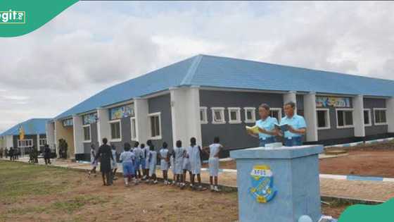 Confusion as WAEC introduces new WASSCE subjects for 2026 exam