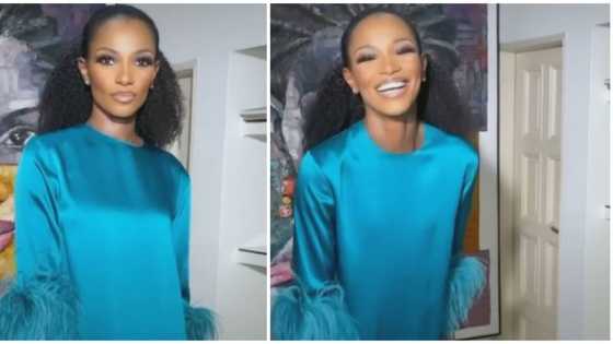 Former Miss World Agbani Darego steps out for fashion show in chic and elegant look