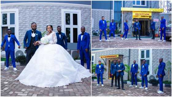 Nigerian couple make 'big' fashion statement at wedding ceremony, men-in-suit wear adorable blue colour