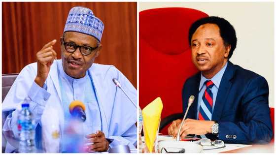 Shehu Sani Ya Bayyana Cibiyar Gwamnati Da Ta Fi Kowacce Zamba a Gwamnatin Buhari