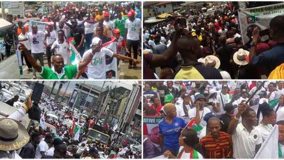 Abuja rally: Dino Melaye insults Peter Obi's supporters, says they are hired with N1000 each