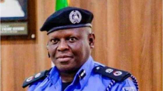 An Kama Dan Sanda Da Ya Bindige Dattijuwa Yar Shekara 80 Har Lahira A Adamawa