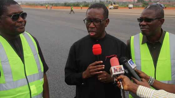 Delta state govt moves beyond oil, invests in world-class agro-industrial park