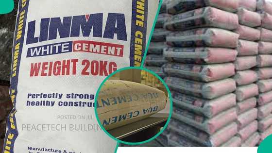 Dangote, BUA, Lafarge, others cements' new prices emerge in Nigeria vs West Africa