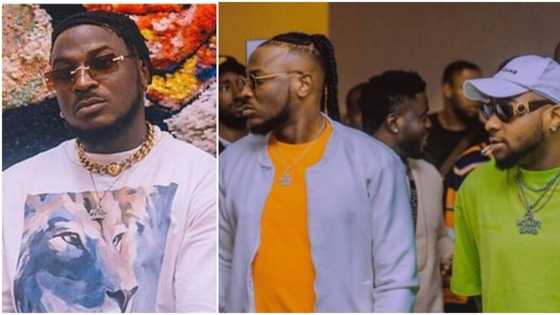"Na wetin Mayorkun tell us" Peruzzi stirs reactions with response to claims of separation from Davido