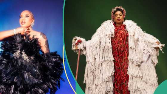 "Daring": Toyin Lawani takes creativity higher as she adorns 1000 peppers, 70 mops dress, video trends