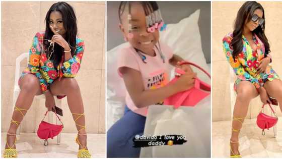 Is that Imade's bag? Nigerians react as Sophia Momodu rocks daughter's gift from Davido