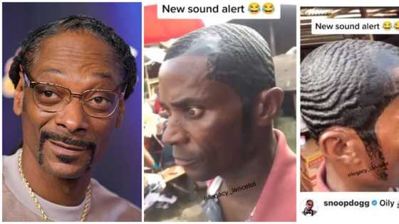 He don blow: American rapper Snoop Dogg reacts to Nigerian man's viral dripping haircut, causes stir online