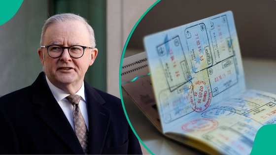 Australia mentions 5 key reasons it may cancel a foreigner's visa, explains process