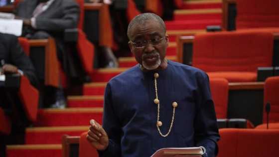 Nnamdi Kanu: Abaribe should be in prison, deputy speaker declares