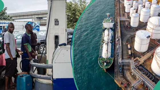 Dangote not enough: Nipco, 6 other oil markets secure fuel import licences amid supply pressure