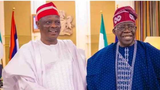Sabon Rahoto Ya Bayyana Matsayin Da Ake Sa Ran Tinubu Zai Ba Kwankwaso A Majalisar Ministocinsa
