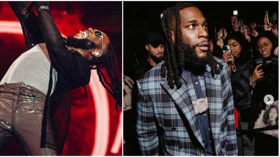 "Anything for Odogwu": Oyinbo female friends struggle for Burna Boy’s singlet at J.Cole’s music festival