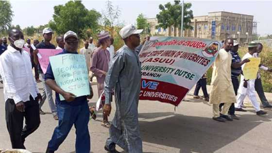 Mambobin ASUU Sun Yi Zanga-Zangan Lumana A Jigawa Kan Biyansu Kan Zaftare Musu Albashi