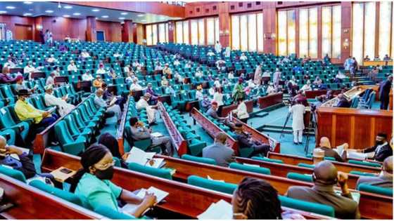 Bill seeking to prohibit Bobrisky, James Brown, others' acts fails to pass at national assembly