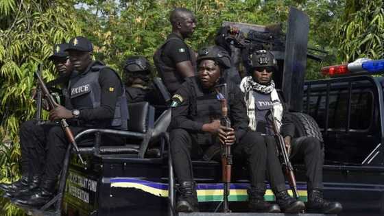 Police arrest 14 kidnap suspects, rescue abducted resident in Jigawa