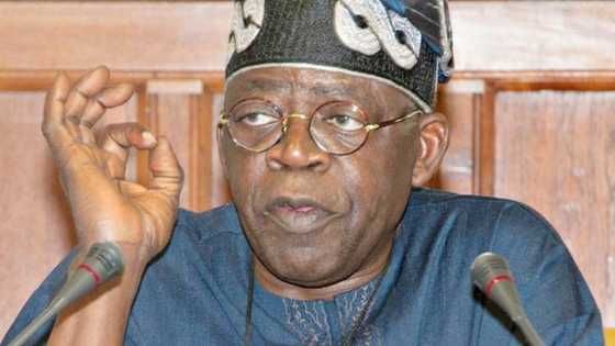 2023: Tinubu's presidential ambition gets major boost as group declares support for ex-governor