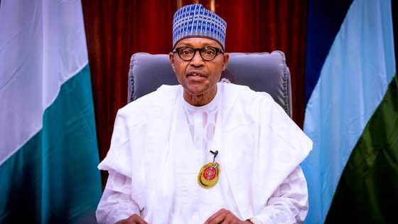 Be patient with Buhari's government - Minister begs unemployed Nigerian youths
