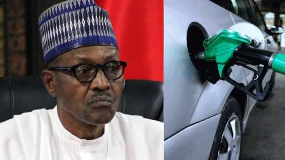 Wata 6 kacal: Kudaden da gwamnatin Buhari ta kashe a kowane wata na tallafin man fetur