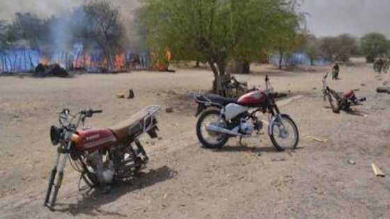 Armed bandits kill dozens, kidnap 7 women in Niger communities