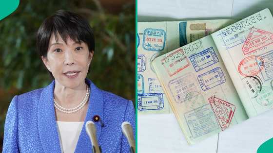Japan announces 8 conditions foreigners must meet to get working holiday visa