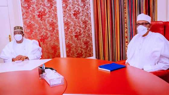 What I told Buhari about borrowings - Lawan opens up after meeting president in Aso Villa
