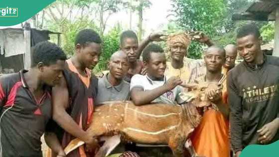 Uromi massacre: Victims' families speak about tragic incident, "We'll not forgive them"