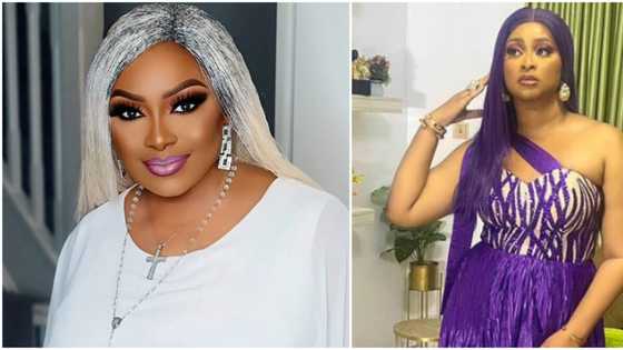 "You sent Nosa Rex to beg me": Drama as Victoria Inyama sells Etinosa Idemudia in public with evidence