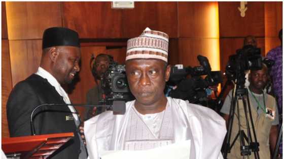 BREAKING: PDP appoints new deputy Senate minority leader