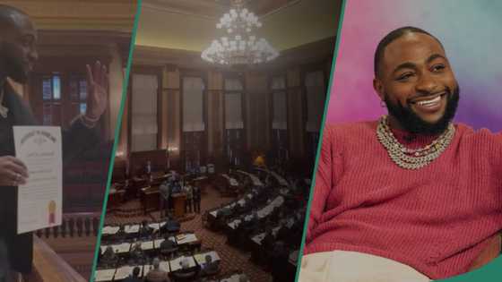 Davido recognised as 'outstanding Georgia citizen', gets standing ovation from lawmakers in the US