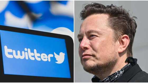 Users at risk as Elon Musk announces move to suspend fake Twitter accounts, gives reason