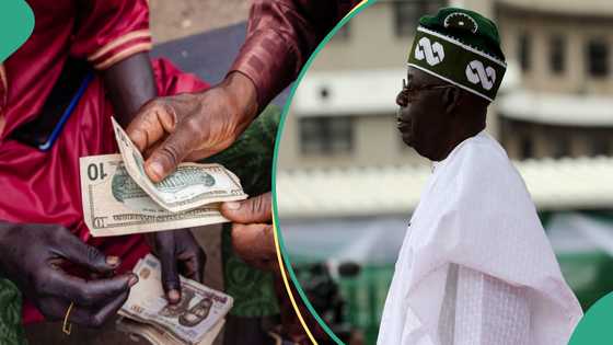 Full list: FG releases names, addresses of BDC operators financing terrorism in Nigeria