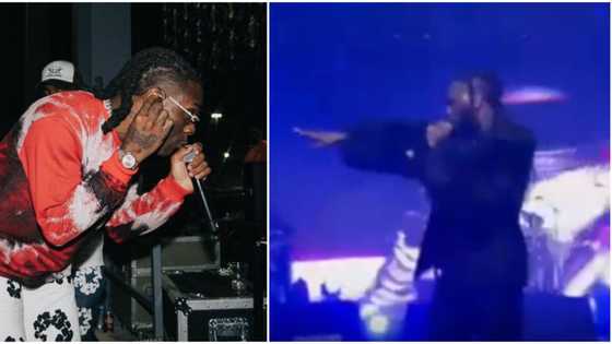 I fit just enter you: Burna Boy warns stage jumpers at concert, says he can’t be sure of their intentions