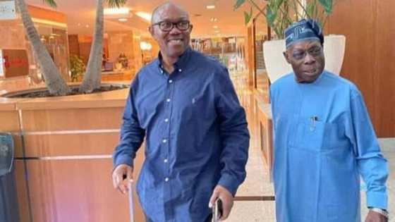 2023 presidency: Labour Party reacts to Obasanjo's endorsement of Peter Obi