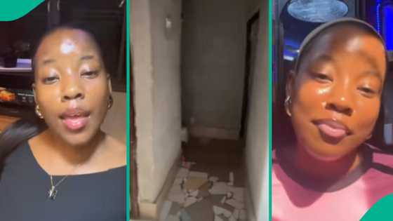 Lady shares experience living with rats in apartment, video gets attention on TikTok