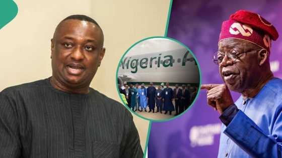 “Please vacate": FG gives international Airlines deadline to relocate, suspends Nigeria Air project