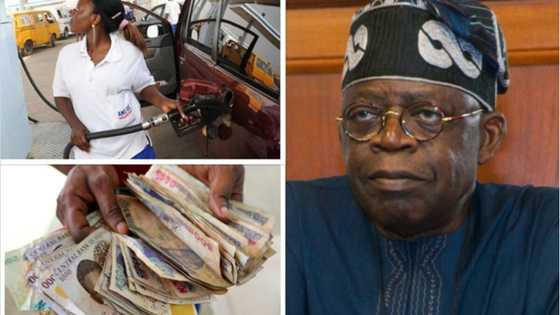 Three fuel subsidy removal palliatives Tinubu must implement in Nigeria