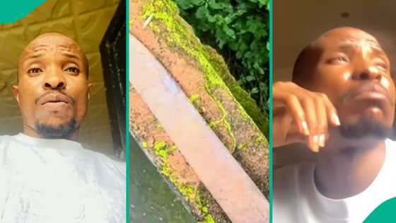 Man cries out in video, displays what was hidden behind his fence, people react