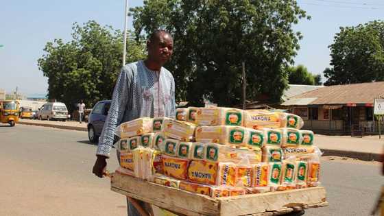 First Africa-bound Ukrainian wheat shipment finally arrives