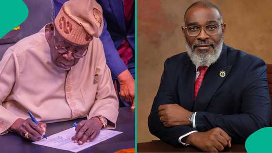Adeyinka Famadewa: Centre defends Tinubu over homeland security appointment
