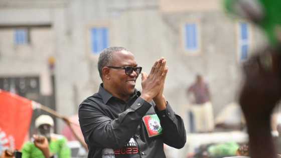 2023 presidency: Peter Obi gets powerful endorsement 2 days to elections