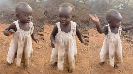 "I want to adopt her": Beautiful baby girl with cute black skin waves hands happily, video gets 950k likes