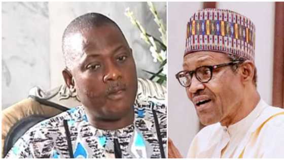 What Buhari, FG are doing to my firm - Innocent Chukwuma opens up, reveals next move